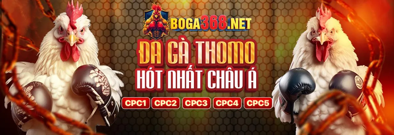 Điều Khoản Dịch Vụ của Trực Tiếp Đá Gà Thomo